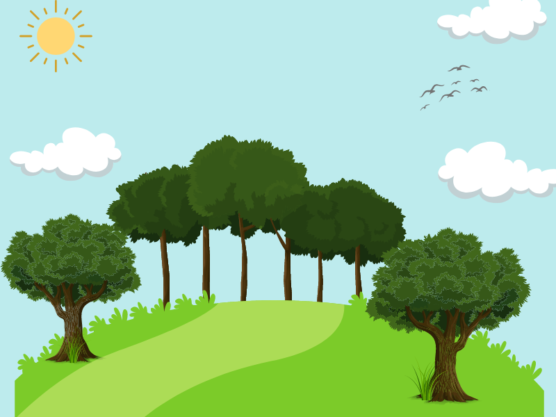 Image of trees against a blue sky