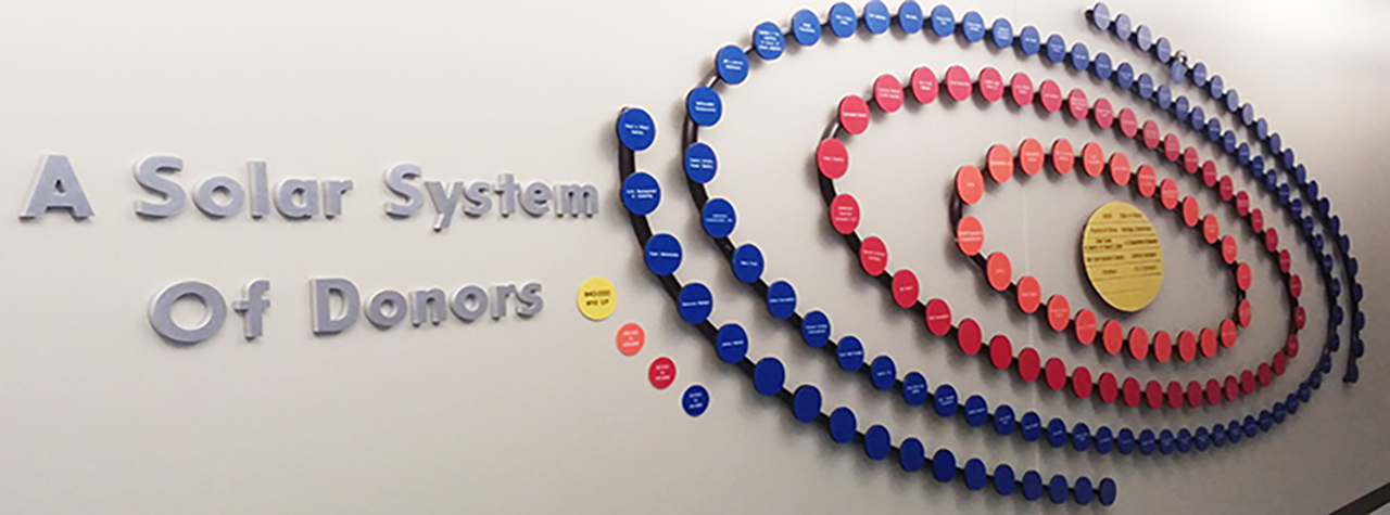A Solar System of Donors