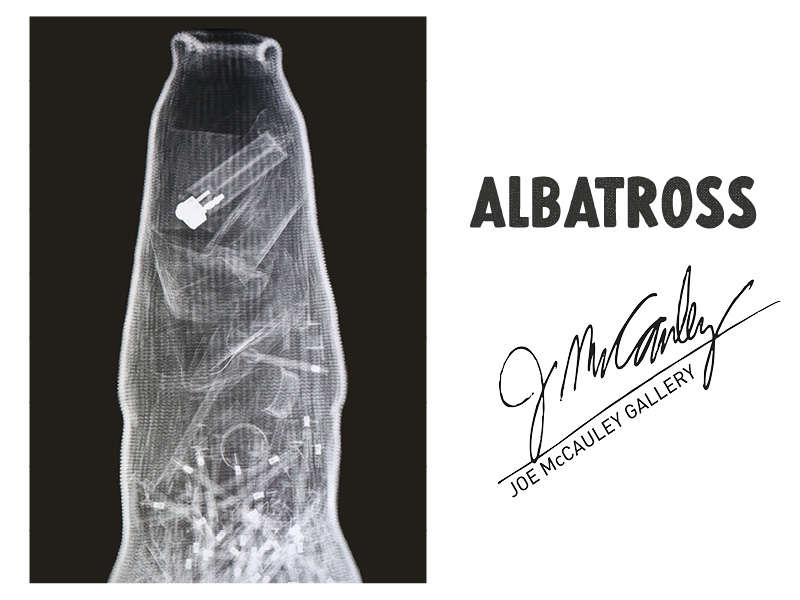 Image of a piece of art from the Albatross show