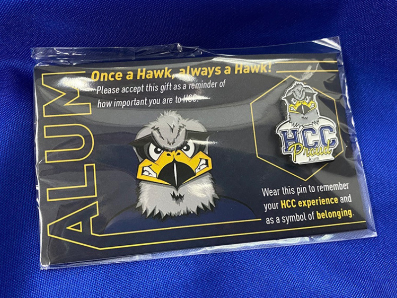 Picture of a hawk-shaped lapel pin
