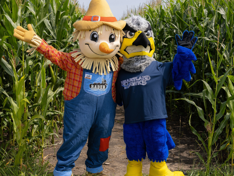 Picture of Patch the scarecrow and Hunter Hawk in a cornfield