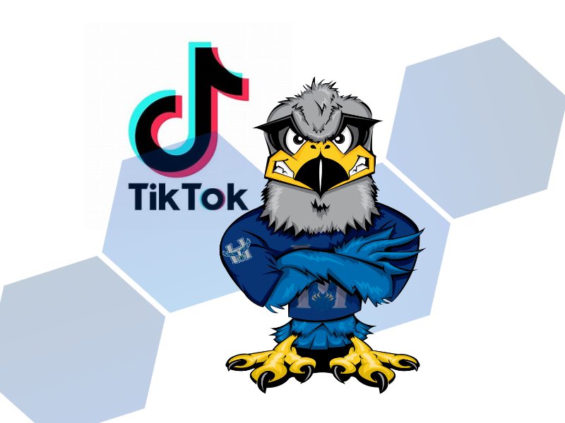 Image with Hunter Hawk and the TikTok logo