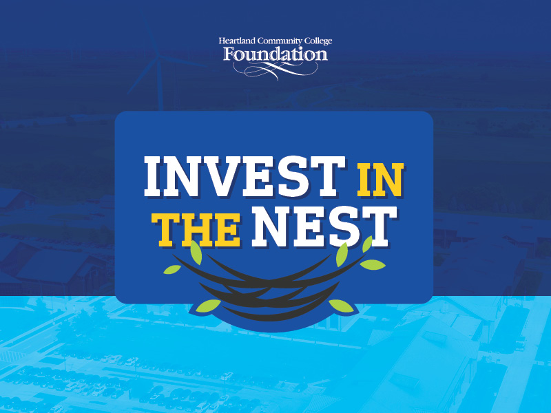 An image of a nest with the words Invest in the Nest on a blue background