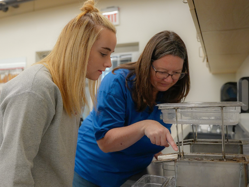 A picture of Karen Corrigan assisting a student