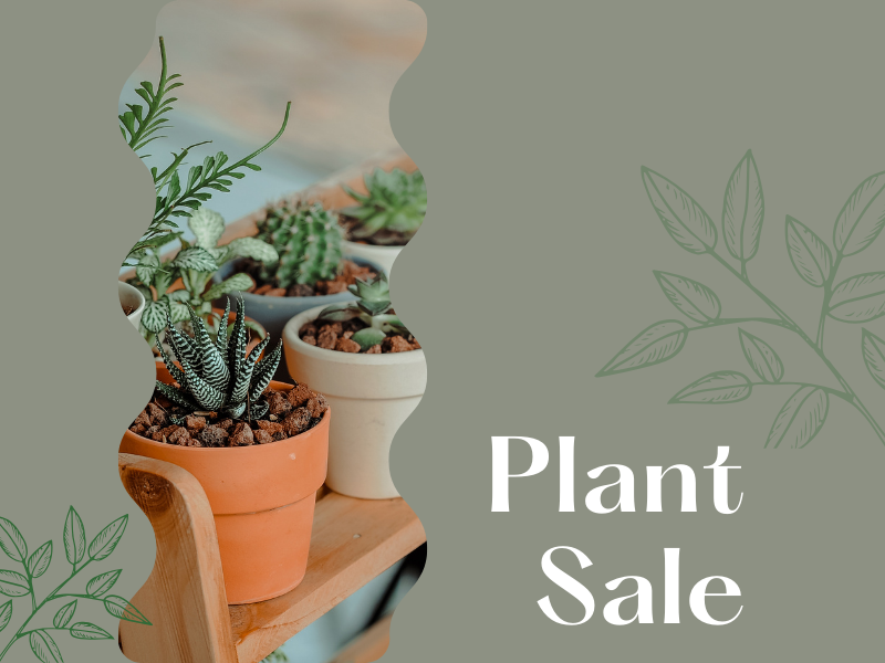 A Photo of several potted plants with the words plant sale